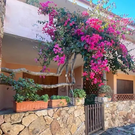 Lejlighed L'accogliente Casa Ginepro San Teodoro (Sardinia)