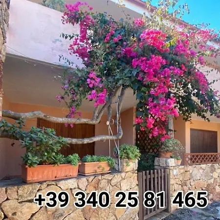 L'accogliente Casa Ginepro *